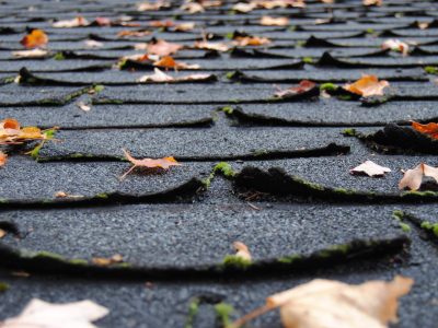 old shingles showing signs of needing a new roof